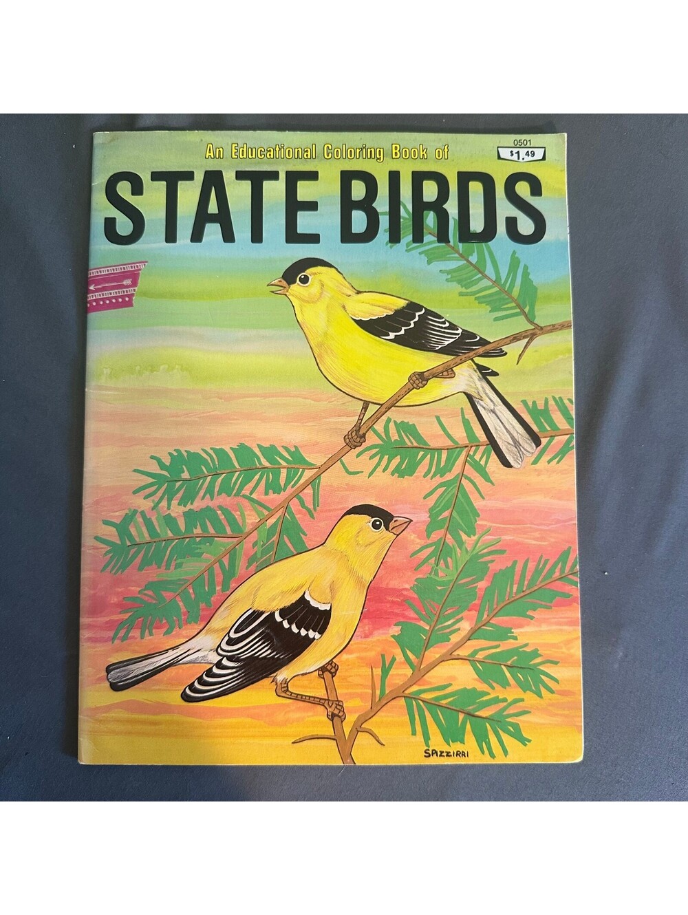 1982 Vintage Spizzirri Press Educational Coloring Book of State Birds